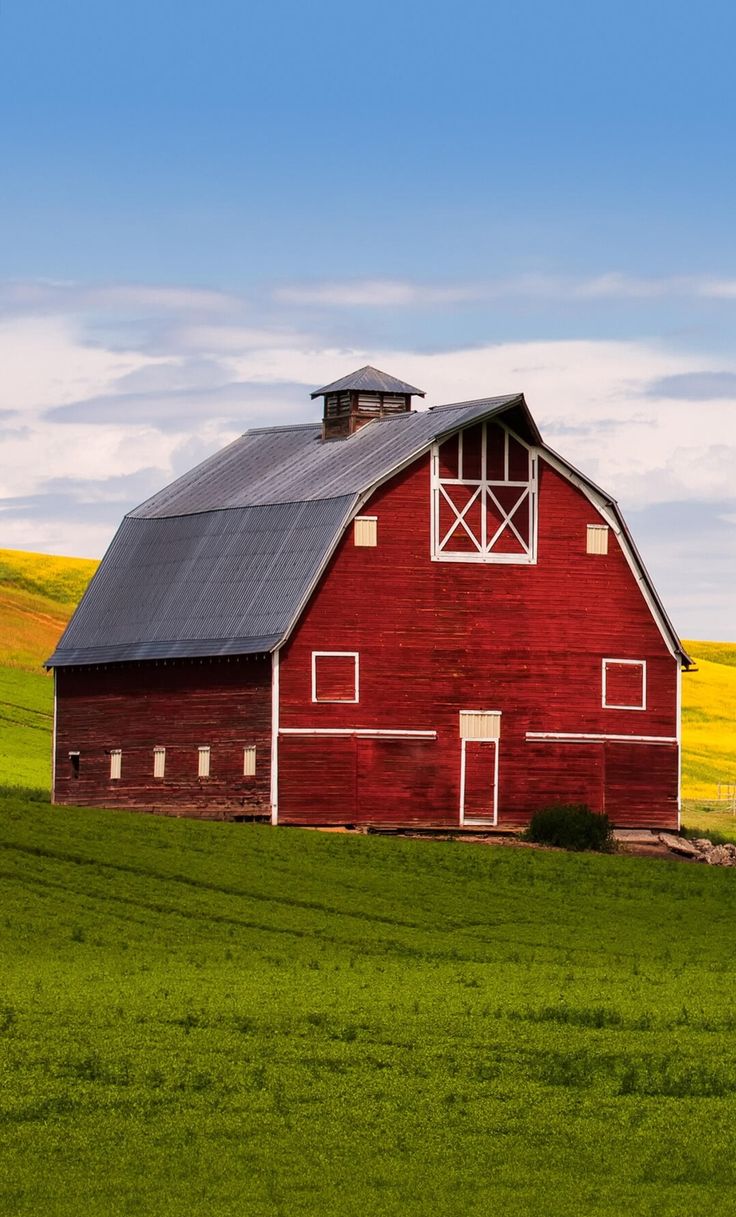 Classic red barn standing on rolling green farmland