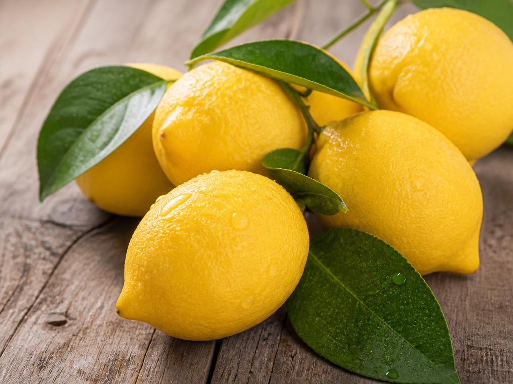Freshly picked lemons with leaves at BV Farms